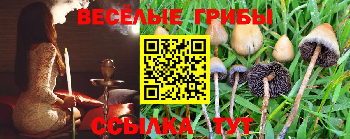 Псилоцибиновые грибы ЛСД  Псилоцибиновые грибы Psilocybine cubensis  купить наркотик  Вход с VPN  Краснодар 