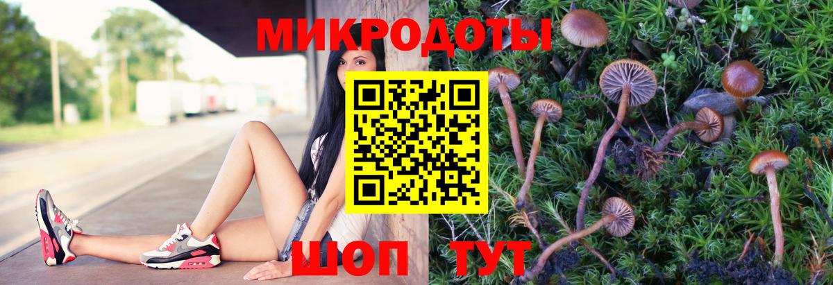 Псилоцибиновые грибы мицелий Краснодар