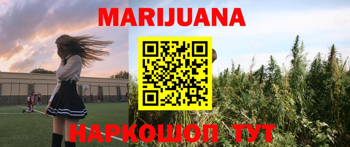 Конопля индика Краснодар